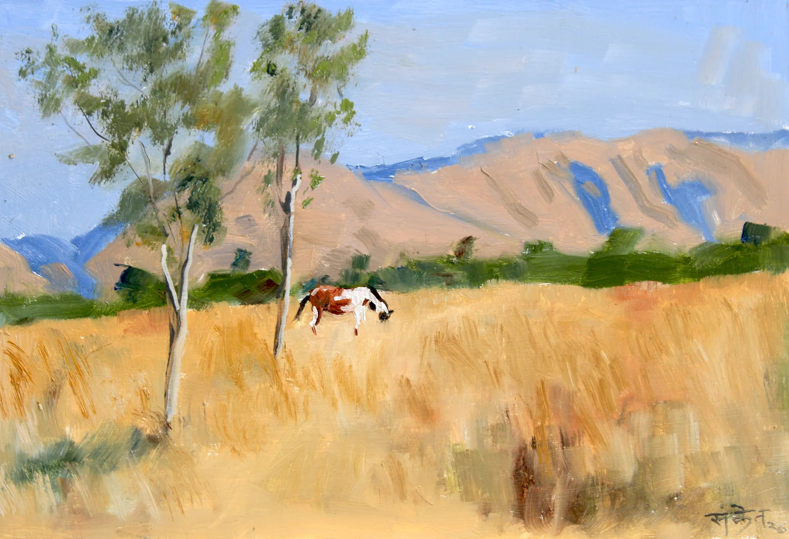 Plein-air-55