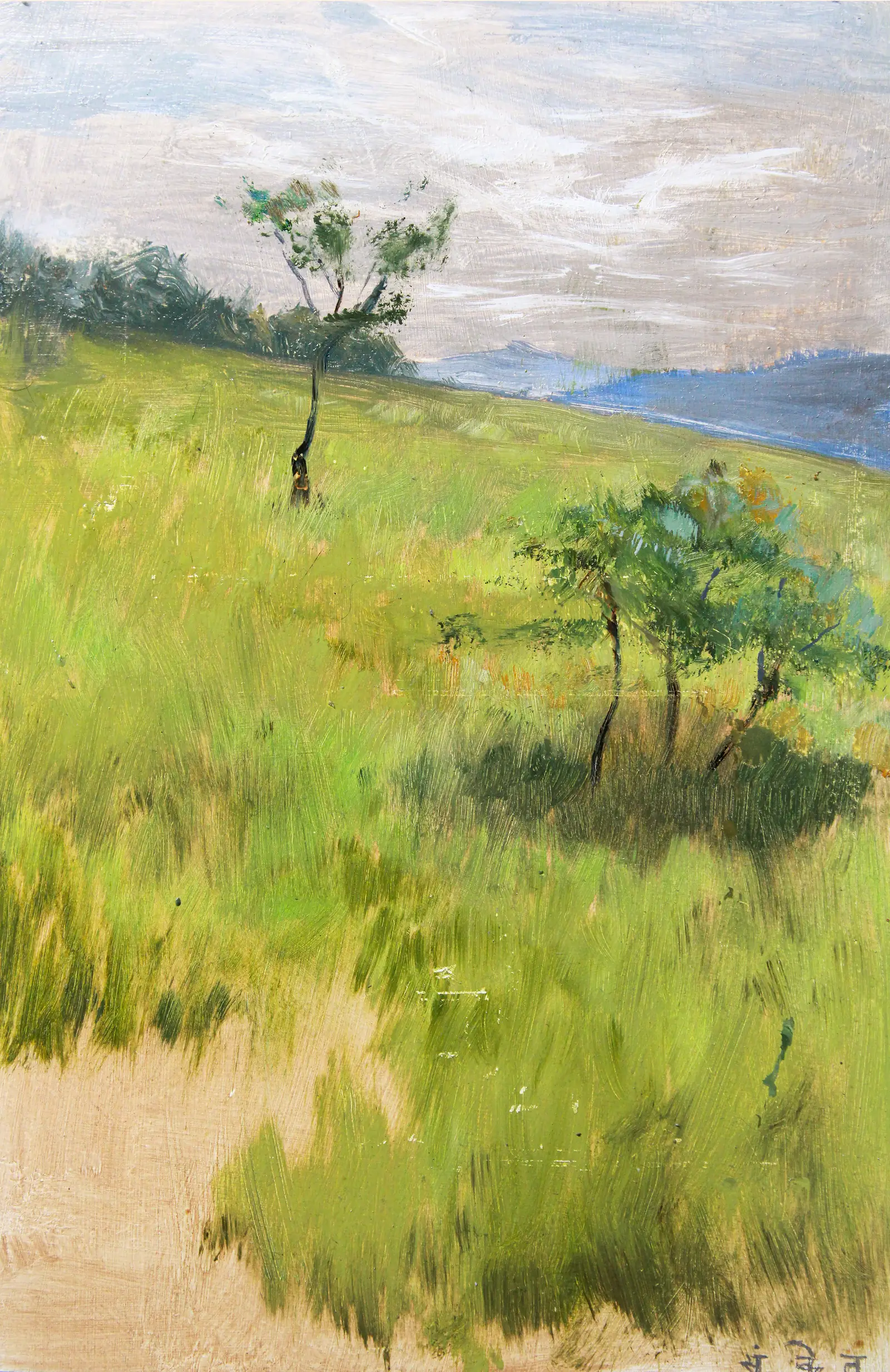 Landscape 3