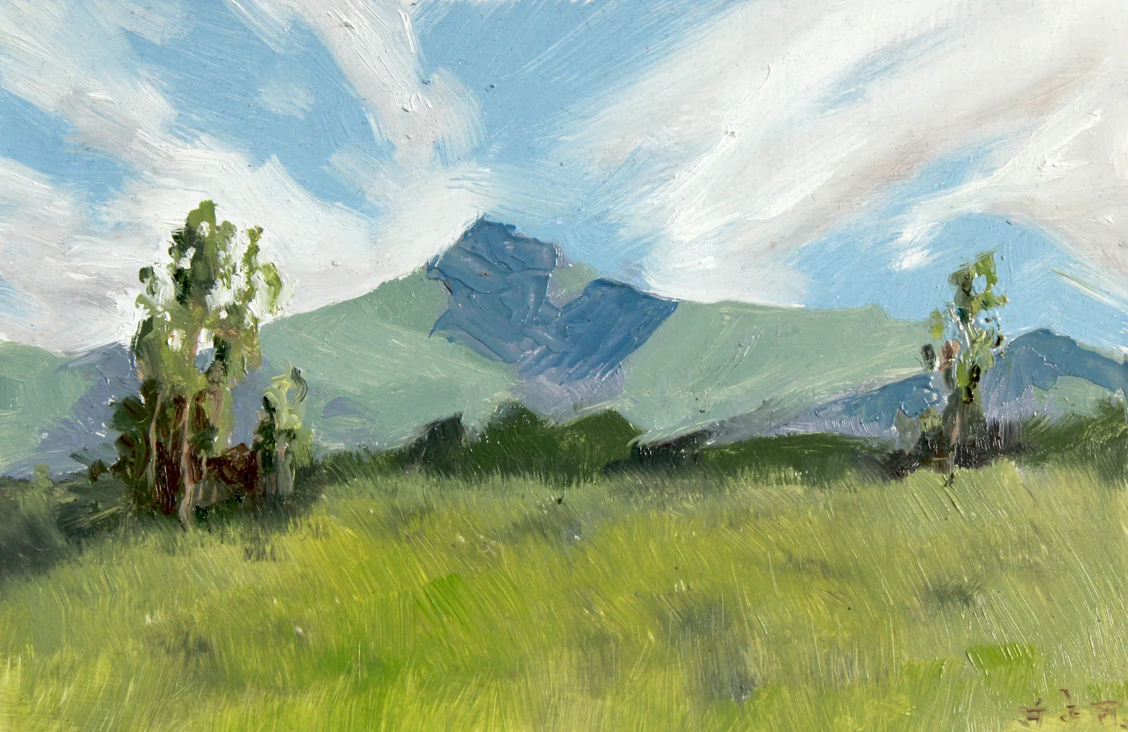 Landscape 4