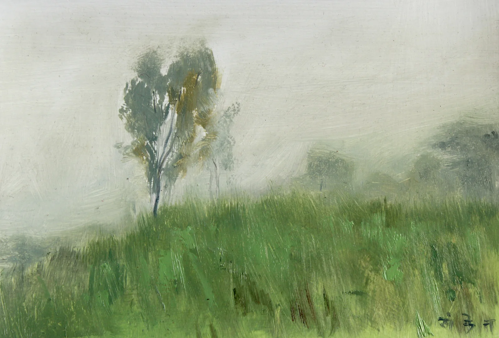 Misty Garden