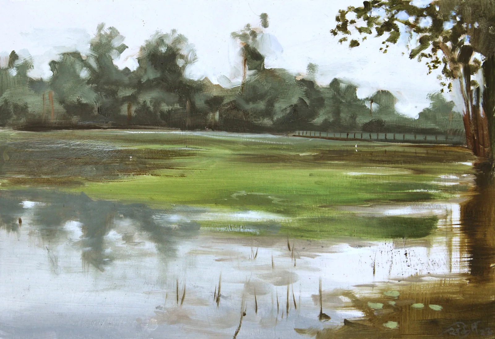Oil Plein 01