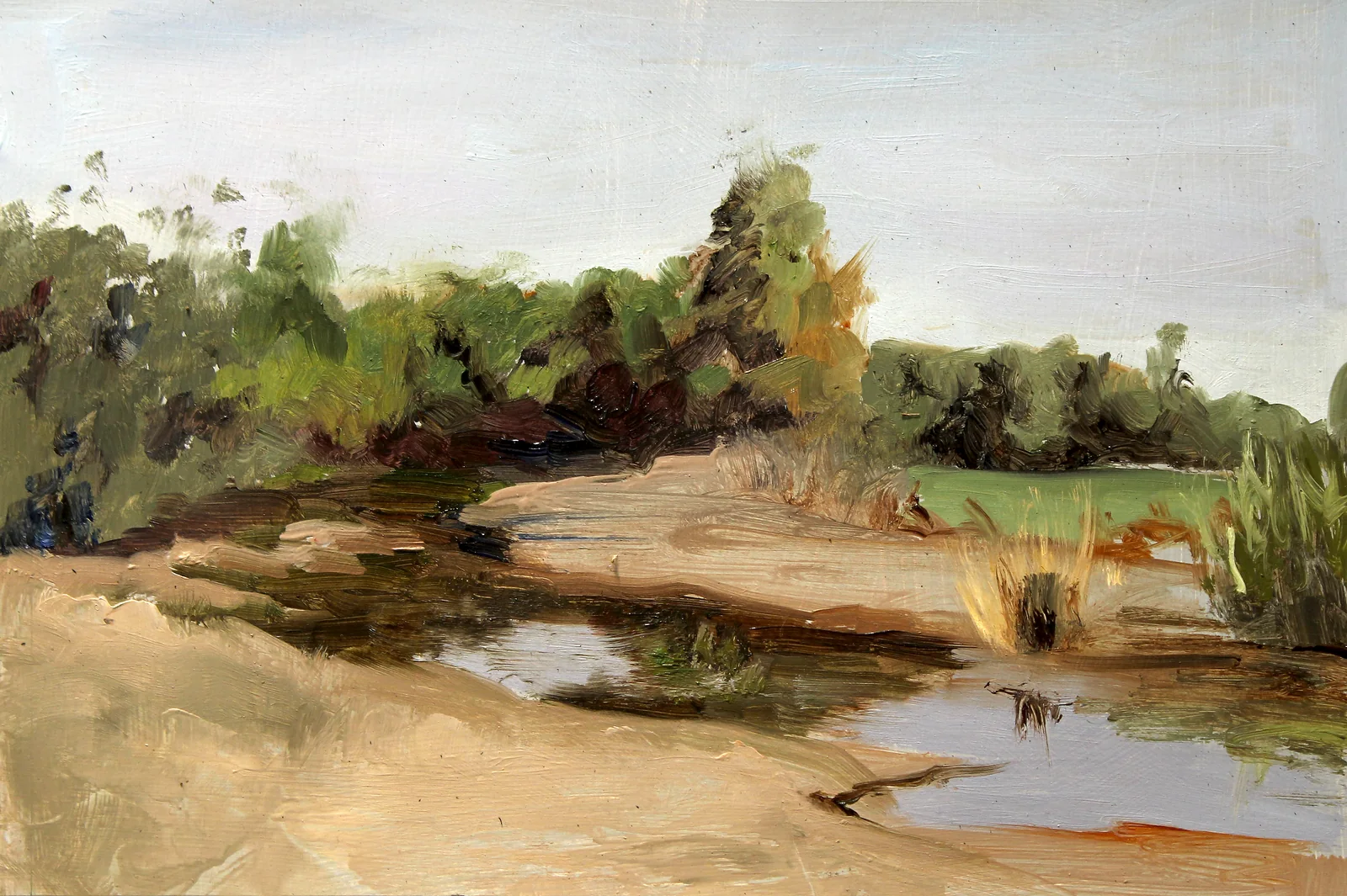 Oil Plein 08