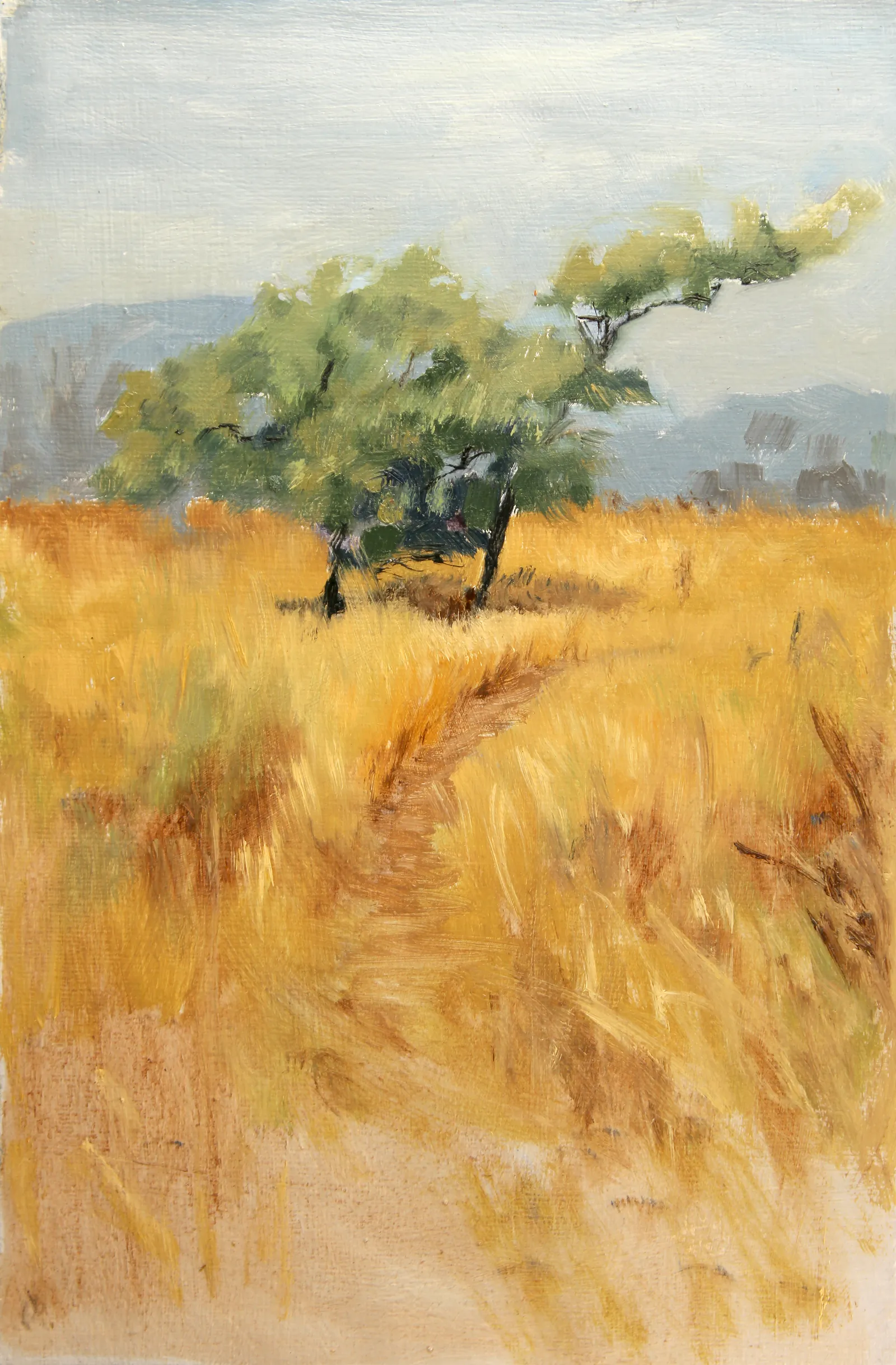 Oil Plein 12