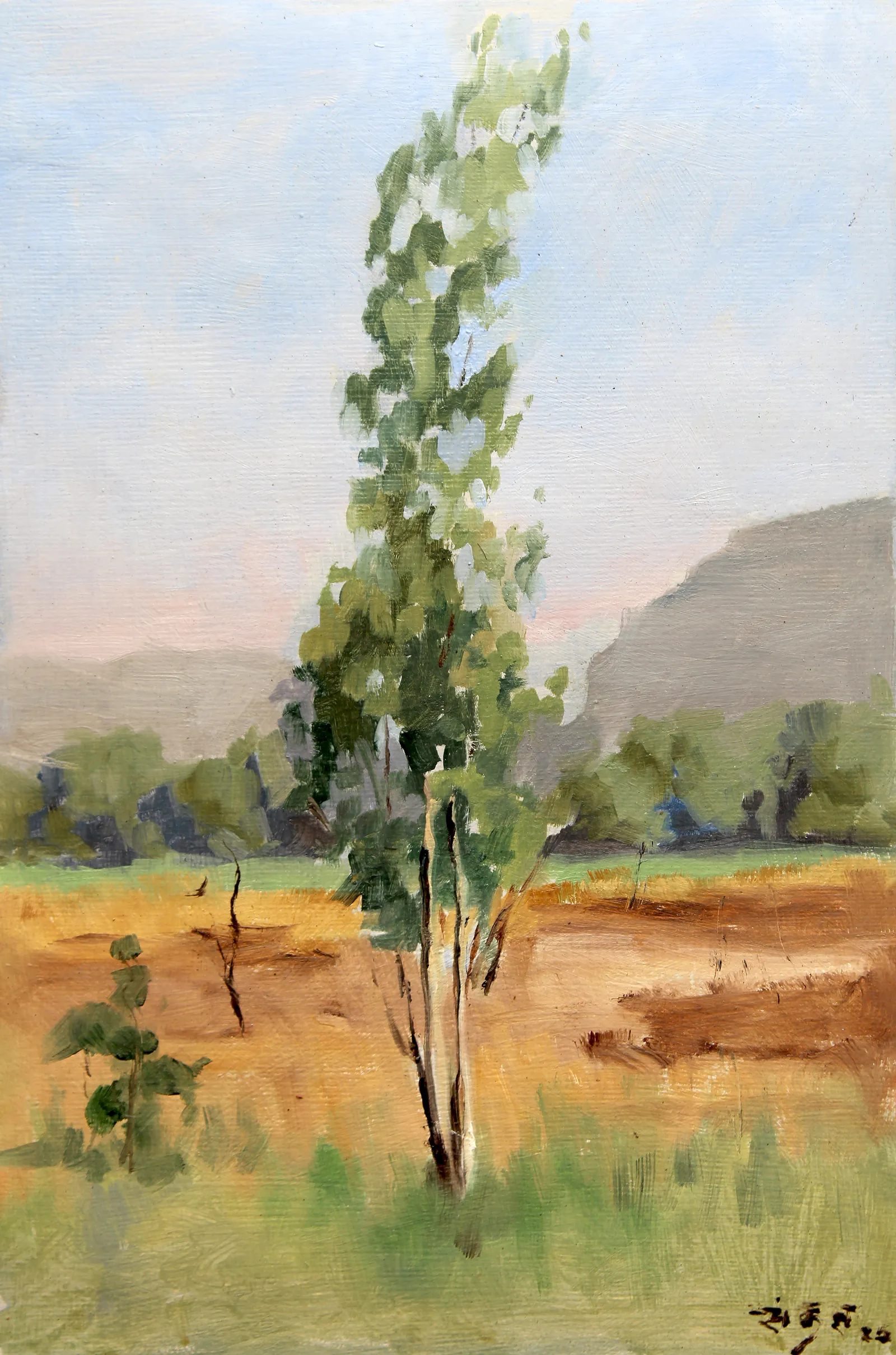 Oil Plein 13