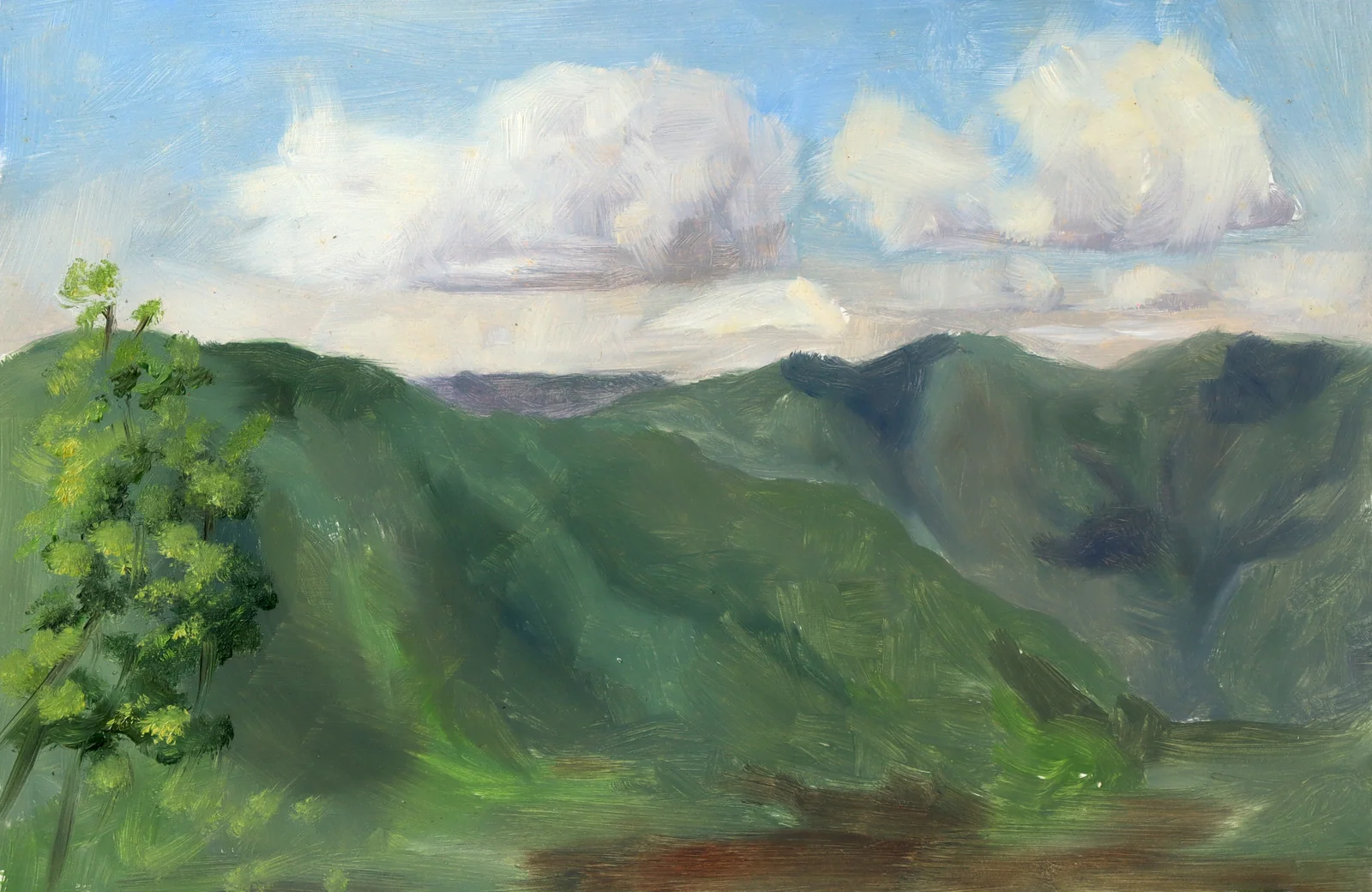 Oil Plein 15