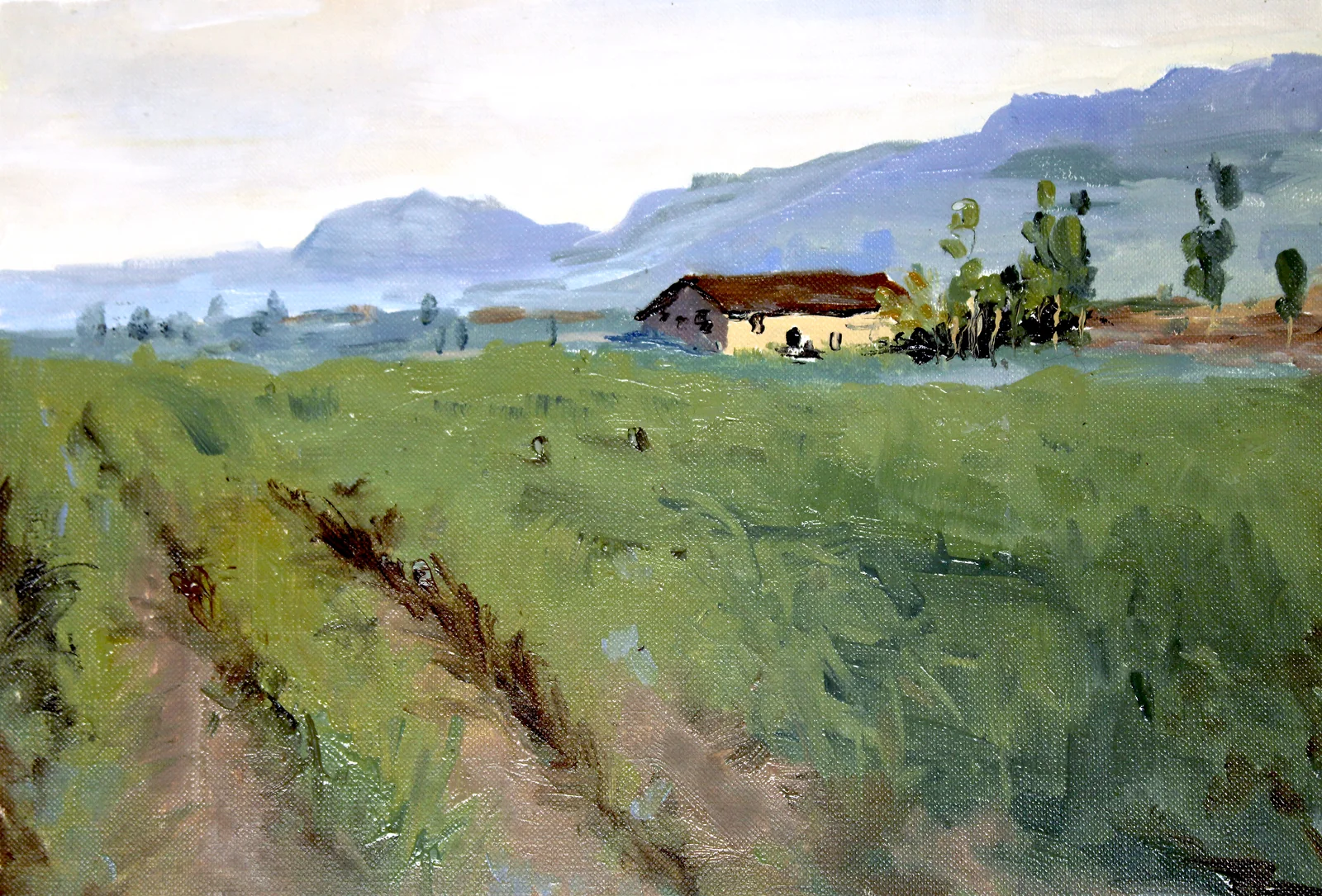 Oil Plein 42