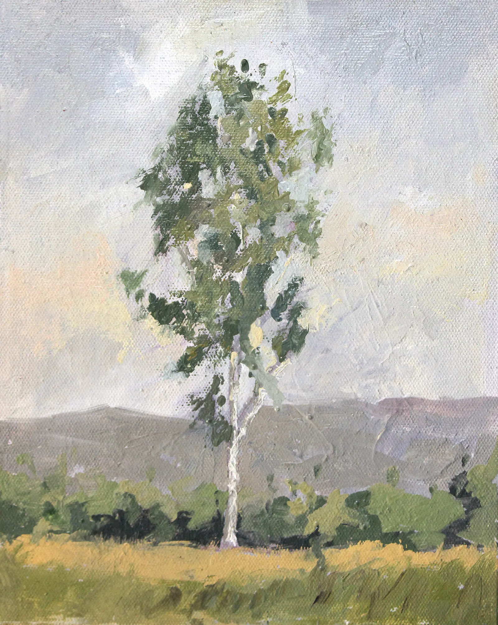 Oil Plein 45